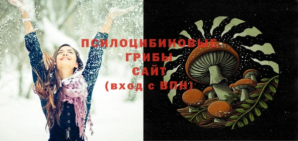 mdma Богданович