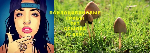 бошки Богородск